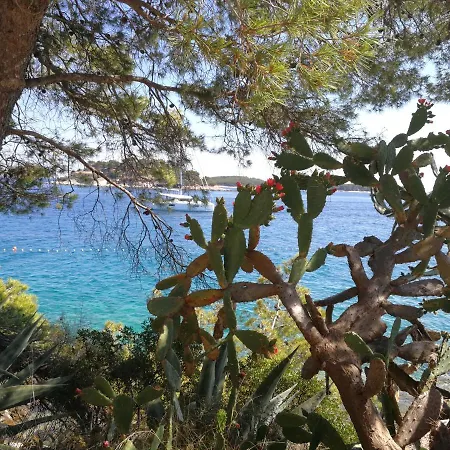 Jadra * Omiš