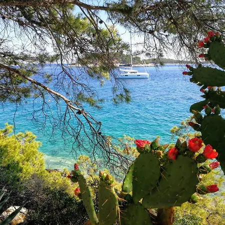 Jadra Διαμέρισμα *